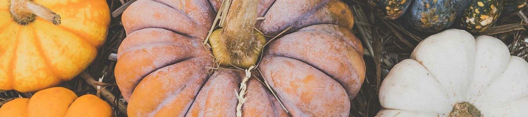 Fall Seasonal Activities in Coronado, CA | Near El Cordova Hotel