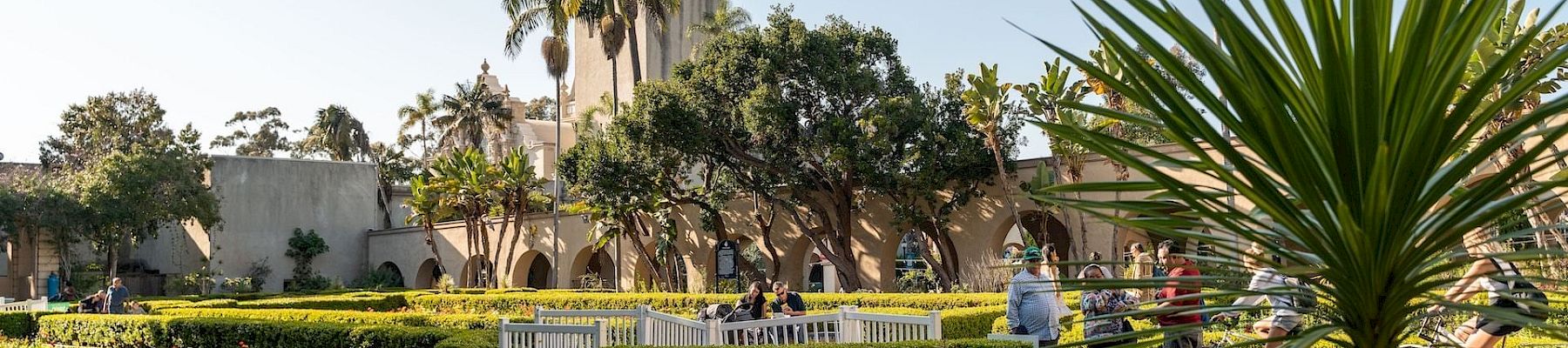 Your Coronado Spring Break Guide