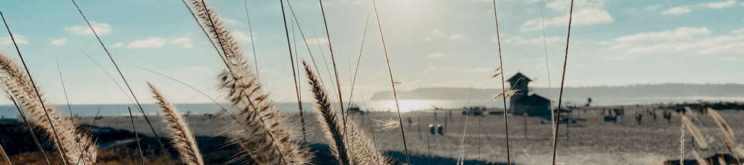 Coronado Inspired Ways to Enjoy the Fall with Kids