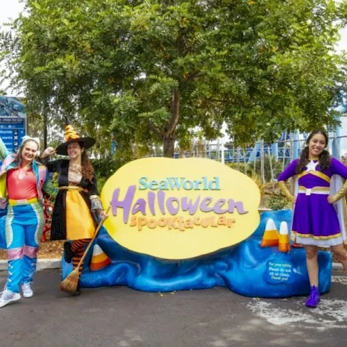 Three people pose in costumes beside a SeaWorld Halloween Spooktacular sign with a blue inflatable, outdoors under trees.